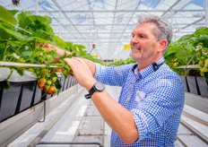 Even laten zien hoe mooi de aardbeien ervoor staan! 